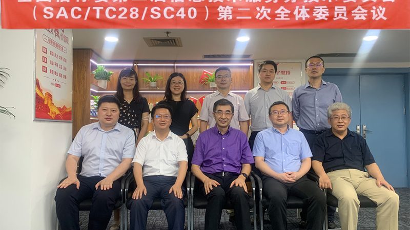 信息技术公司年度工作总结报告：关键要素与撰写指南**